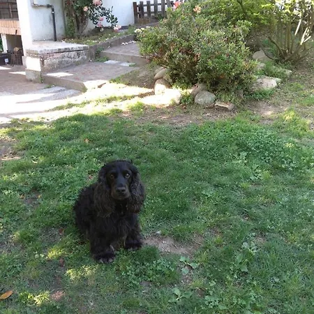 Apartment Azalea Induno Olona