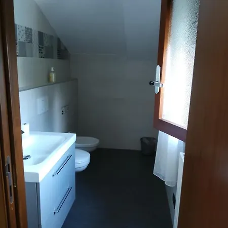 Azalea * Induno Olona