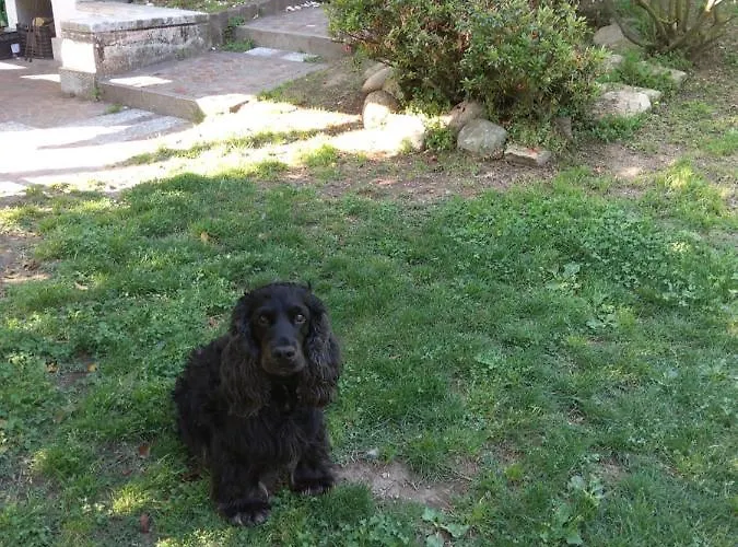 דירה Azalea Induno Olona